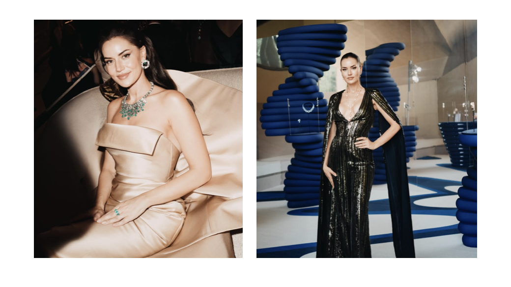 Görsel Açıklaması